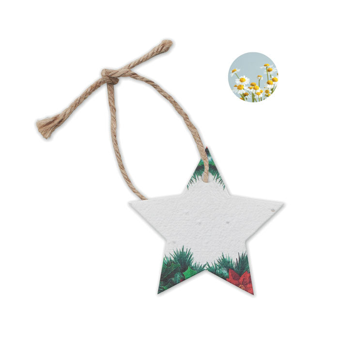 Plantbaar zaadpapier ornament in kerststervorm, wit