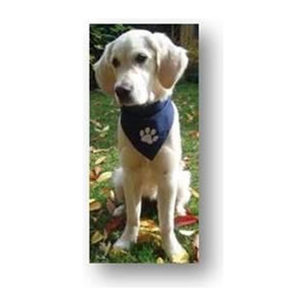 Hondenbandana met eigen ontwerp