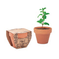 Terracotta potje met muntzaadjes, hout