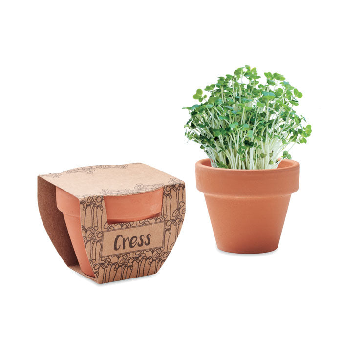 Terracotta potje met tuinkerszaadjes, hout