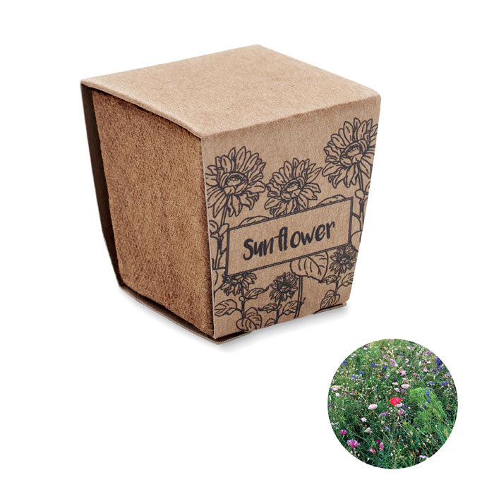 Kweekset met zonnebloemzaadjes in turfpot, beige