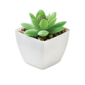 Mini kunstplant, vetplant-vorm, wit