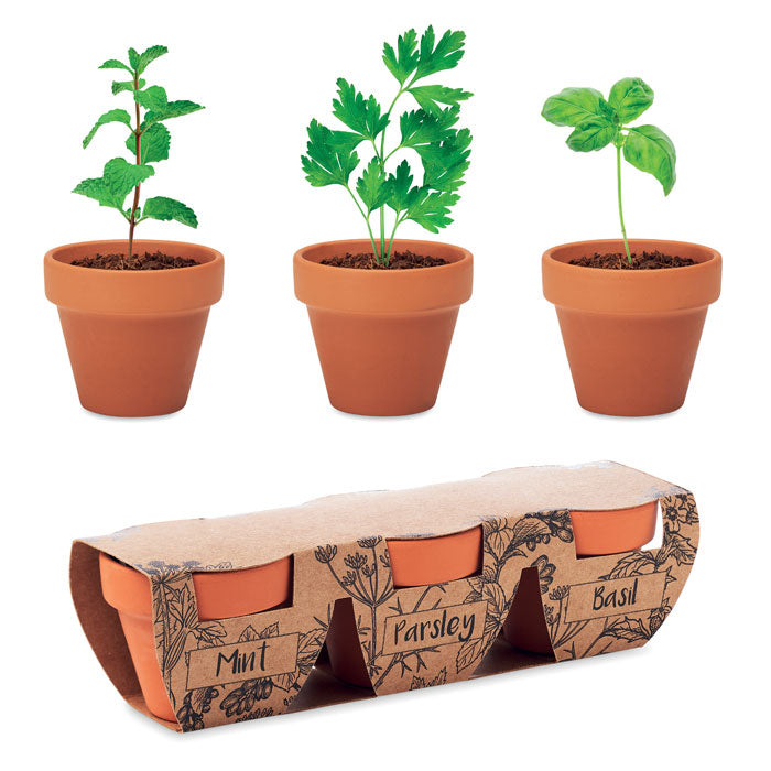 Kruidenkweekset met 3 terracotta potjes, hout