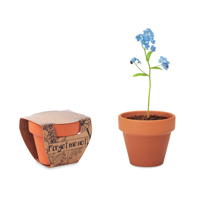 Terracotta kweekpotje met vergeet-mij-nietjes, hout
