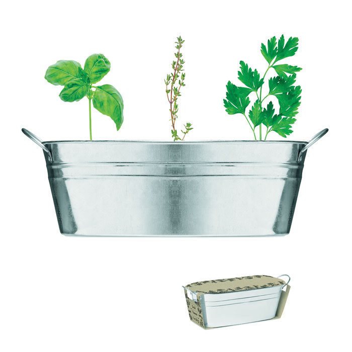 Plantenbakje met kruidenzaden, set van 3, mat zilver