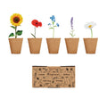 Kweekset voor bloemen, beige
