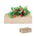 Aardbeien-kweekset in houten kistje, hout