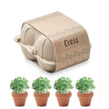 Terracotta kweekpotjes met tuinkerszaad, set van 4, beige