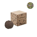 Zaadbom kweekset met wilde bloemenmix, beige