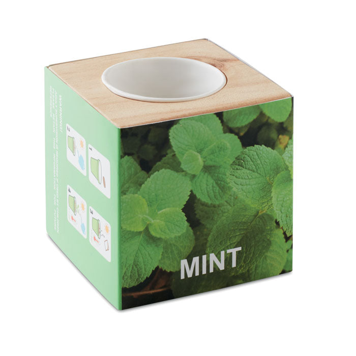 Kweekset met muntzaadjes in houten pot, hout